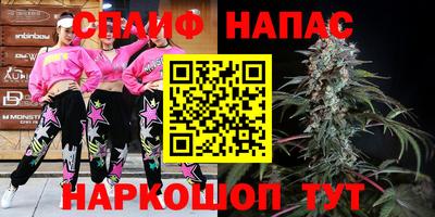 дмт Будённовск