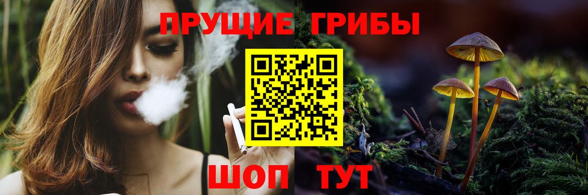 Рыбинск  Галлюциногенные грибы Cubensis  Вход с VPN 